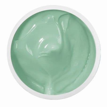Gel Paint - Mint 5ml
