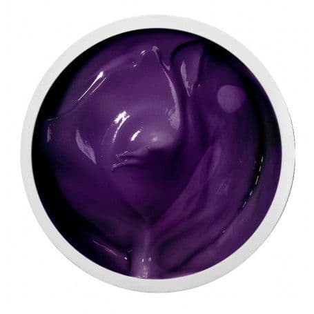 Gel Paint - Purple 5ml